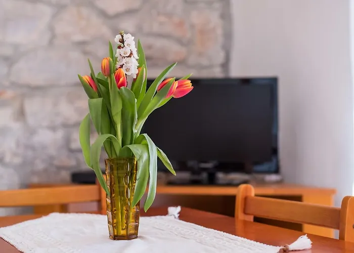 In - Insel Cres 37906 * Štivan