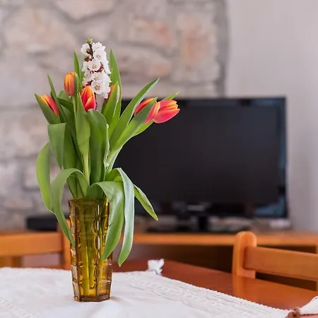 In - Insel Cres 37906 * Štivan